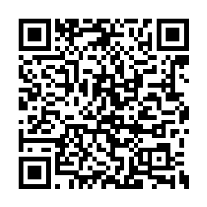 他肯定不会看着雷天他们把地下的秘密挖出来的二维码生成