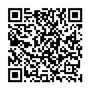 他肯定会好好出手教训一下这个不知道天高地厚的小女孩二维码生成