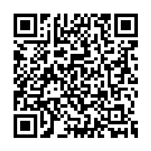 他肯定是想让我留下来和陈水瑶多相处一会儿的二维码生成