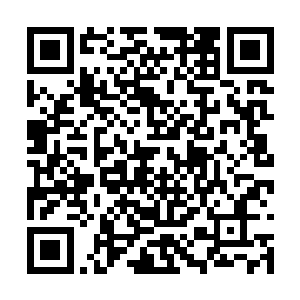 他背着花疏影偷偷报名参加了珍宝轩组织的采摘队二维码生成