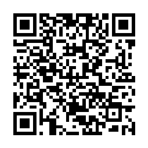 他能够体会到王九九发脾气背后对自己浓浓的情意二维码生成