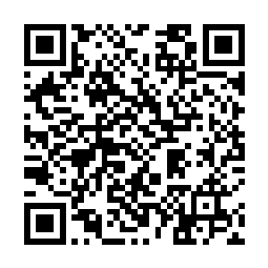 他能够看到地龙的头颅上被夜鹰刺出的伤口正慢慢愈合二维码生成