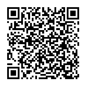 他能当上族长除了自身打猎身手不弱以外就是得到了典的大力帮忙二维码生成