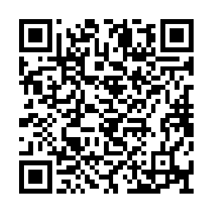 他能感受到的仅仅是规矩下的冷漠与被迫的坚强二维码生成