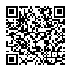 他能感应到自己的整个身体从皮肤到肉都在发生着剧烈的变化二维码生成