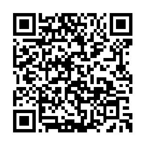 他能清晰感受到光幕上传来一股可怕的气息波动二维码生成
