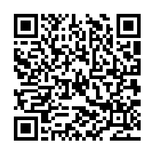 他能爬到苏谯县委书记主要还是靠刘敏知为他使力二维码生成