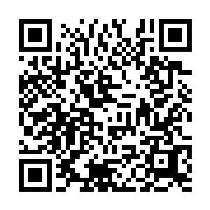他能见到时光之盘四周都是凹陷进去的淡白色光壁二维码生成