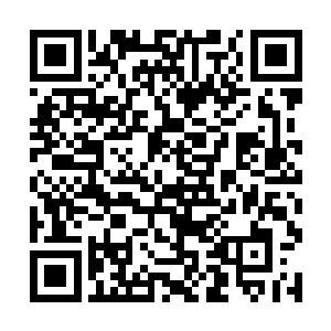他能轻而易举的进来还不是因为她提前吩咐了下暗一二维码生成