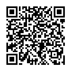 他脑子原本禁锢他的自卑拘谨忐忑好像突然之间就没有了二维码生成