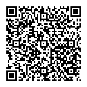 他脑子里就冒出了一个很大胆的想法――我可不可以用踢任意球的方式来处理眼下我遇到的情况呢二维码生成