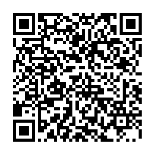 他脑海当中瞬间就是浮现出了他一拳将那铭文境四层修士给轰杀的粗暴场景二维码生成