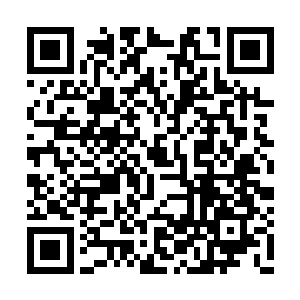 他脚下的青色大石终于没有承受住他的疯狂跳跃二维码生成