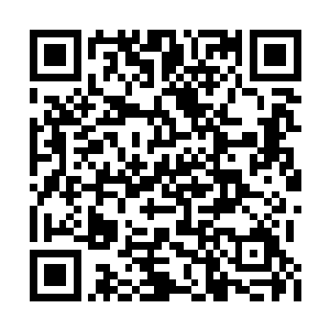 他脸颊上的六角形印记出现了七枚后就再无增加二维码生成