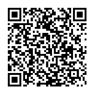 他自付自己比在场的任何人都要了解关于红烛果的秘辛和成熟前的征兆二维码生成