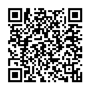 他自信就算是道君顶峰在自己面前也能够战而胜之二维码生成
