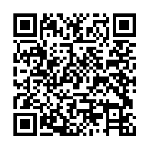 他自己也知道刚才这一轮对轰消耗了他太多力量二维码生成