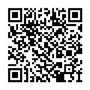 他自己留在这里独享从容得到阴阳圣果的机缘吧二维码生成