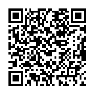 他自然不会十个月时间都静坐在枉死谷外围等林铭出来二维码生成