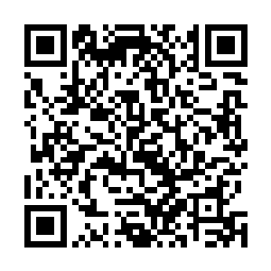 他自然不可能陪着一群家伙去玩这样没有多少东西的遗迹二维码生成