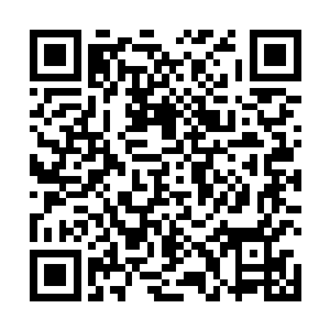 他自然也看到张潇晗放在储物戒指里的另一艘大型宝船二维码生成