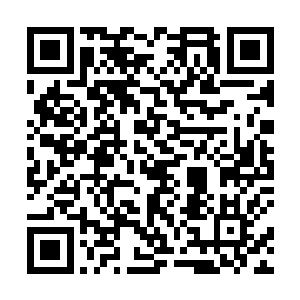 他自然明白百晓生的实力突然增加是因为夏天的吼声了二维码生成