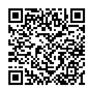 他自然是希望楚暮能够得到剑神尊座的最后传承二维码生成
