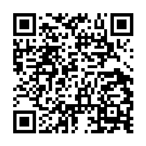 他自然毫不犹豫的就会直接一直使用此鞭去抽打那二维码生成