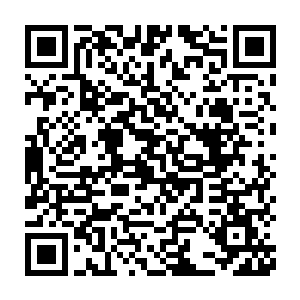 他花尽人力物力苦心寻找的杀父仇人楚敛之竟时时刻刻飘在他的眼前二维码生成