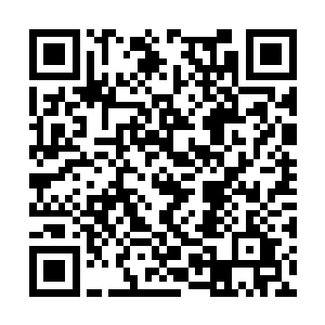 他获得这些资料的方式和手段到底又是什么样的呢二维码生成