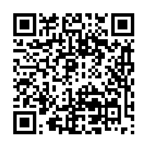 他虽去混乱死域与黄大哥与蓝大姐打探过一些情报二维码生成