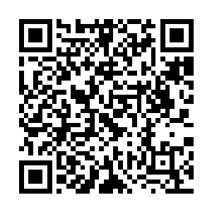 他虽然不知道村长使了什么巫术让那诸多巨兽对他视而不见二维码生成