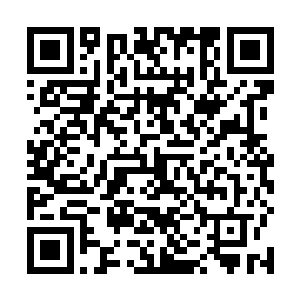 他虽然不知道萧易是怎么样一个人把自己女儿救回来的二维码生成