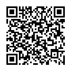 他虽然也不知道这块水晶阵盘到底是不是那件东西二维码生成