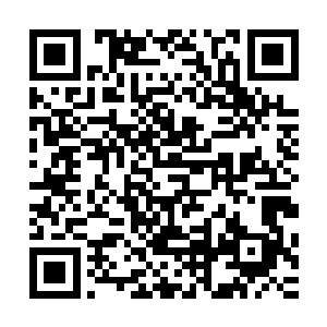 他虽然有点惊讶这个年轻人居然可以挡得住他的一拳纹丝不动二维码生成