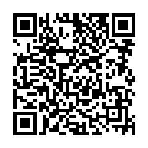 他虽然简单地透露了一下萧强和红红火火演艺公司的关系二维码生成