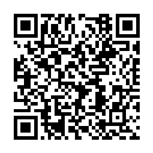 他血红的眸子愣愣的望着数千丈外的那个巨大手印二维码生成