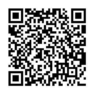 他血色的瞳孔中倒映各自着倒映着一座直上云霄的巍峨神山二维码生成