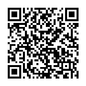 他表示这面旗帜象征着中华民族像凤凰一样浴火重生二维码生成