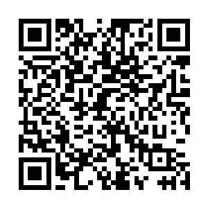 他被我干掉的时候是真的因为施展血魂宗的秘法走火入魔了二维码生成