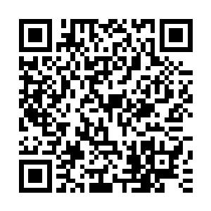 他被空间乱流带出了试炼之路流落到了这个被称为灵界的世界二维码生成