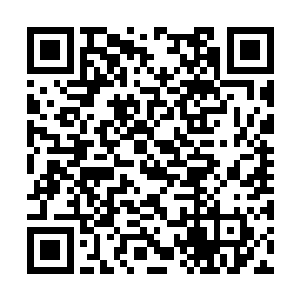 他被马克洛夫斯基推着阿拉丁到了另一张轮椅旁边二维码生成