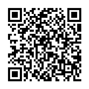 他要作为祭品在明天子时之前进入宝室和你作伴二维码生成