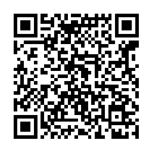 他要依靠小螳螂分泌出的东西炼制宝物一雪奇耻大辱二维码生成