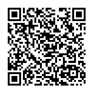 他要在生命彻底耗尽时为收的这个宝贝徒弟置换他的双臂骨和掌骨二维码生成