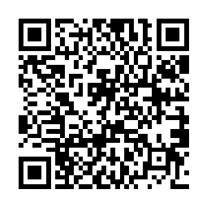 他要找的那个人还极有可能是一名实力强大的驭兽师二维码生成