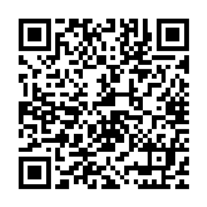 他要是真的以为这大雪天的龙野就为了送这么一盆土豆才是傻了二维码生成