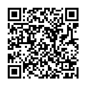 他要是真的过来……路小佳看着那个中年人沉着的眼神二维码生成