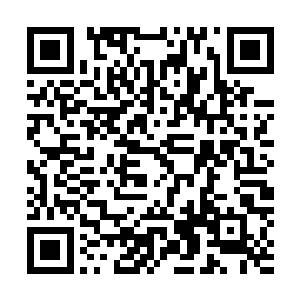 他要是知道方凌从练气二层突破到练气七层只用了半年时间二维码生成