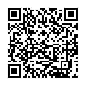 他要祈求叶温柔的原谅或者也要接受叶温柔的不原谅二维码生成
